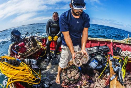 Pescadores, Humboldt / Eduardo Sorensen